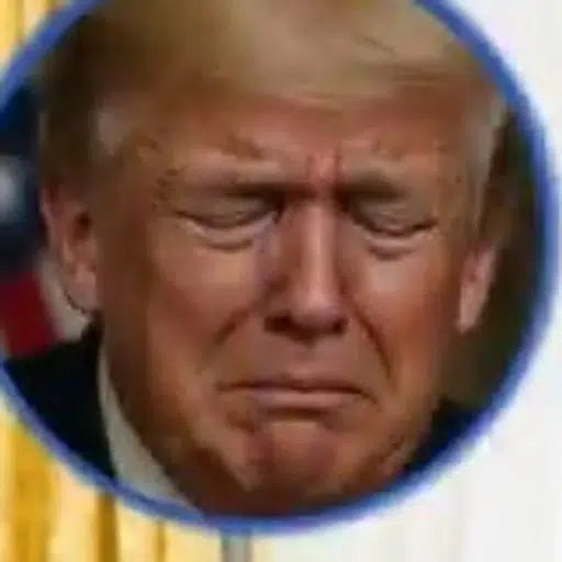 sadnald