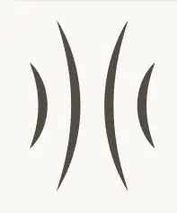 PSI