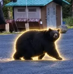 CHUNGUS