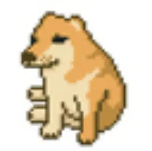 CashDog