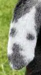 LUCY