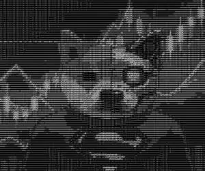 DSI