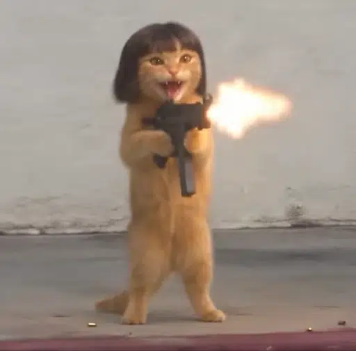 CATWIFGUN