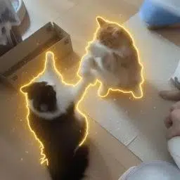 PVP