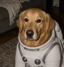COSMO