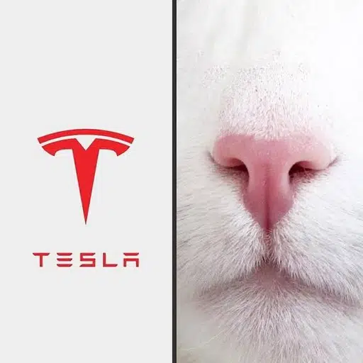 TCAT
