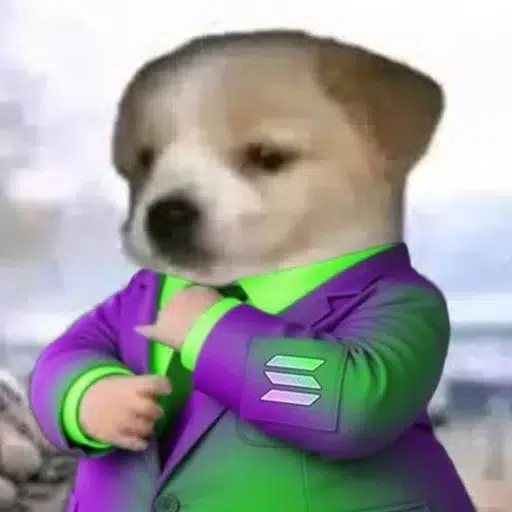 memecoiner