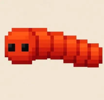 WORM