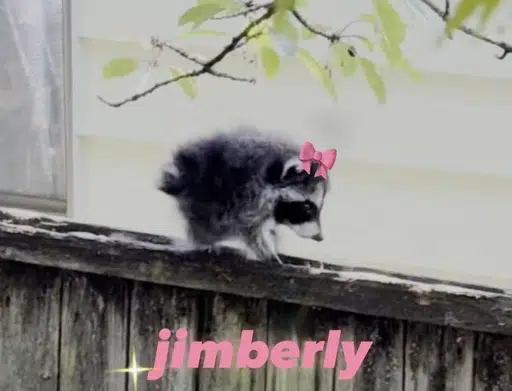 JIMBERLY