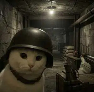 BCAT
