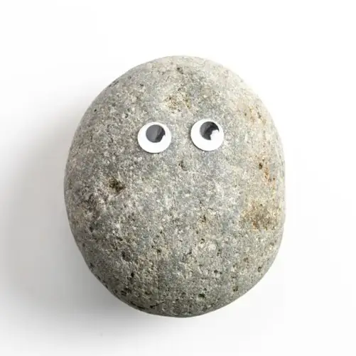 Rocky