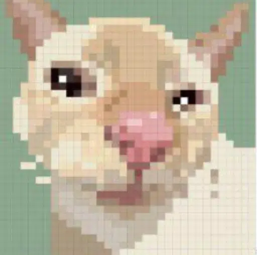 Cutecat