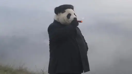 KIM
