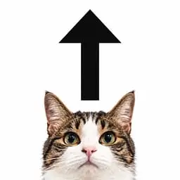 up