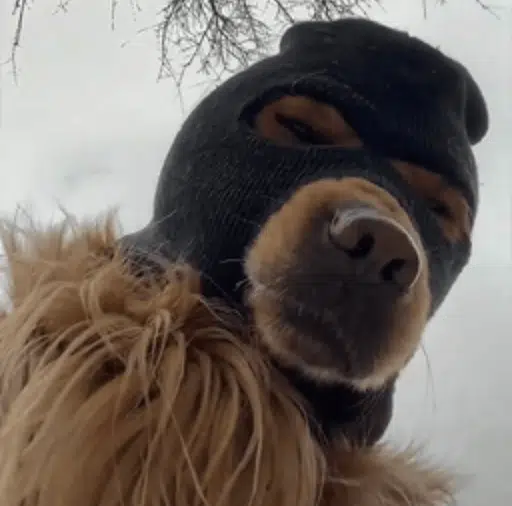 SKI