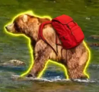 Backpack89
