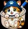 Cat Collector