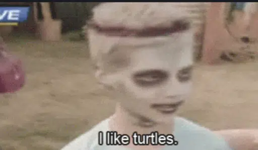 TURTLES