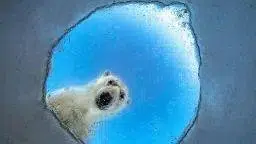 ICY