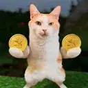 chillcatguy