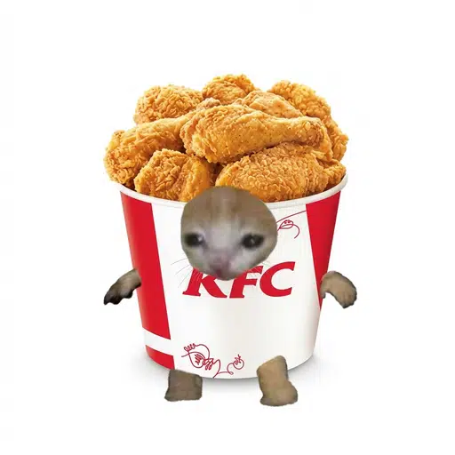 食物猫