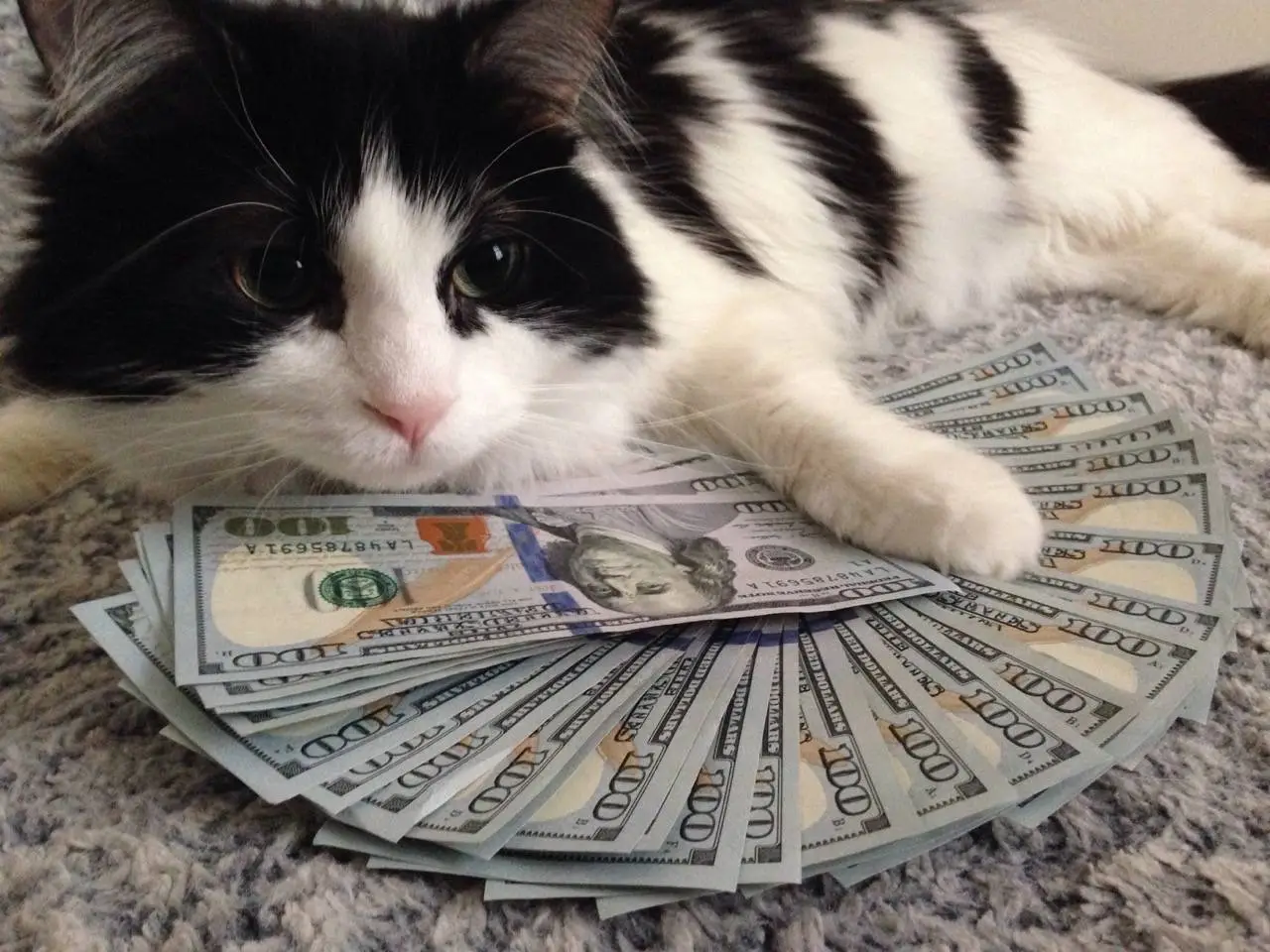 MONEY