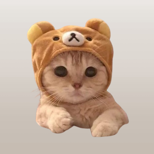 WIFCAT