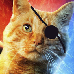 GoosCat