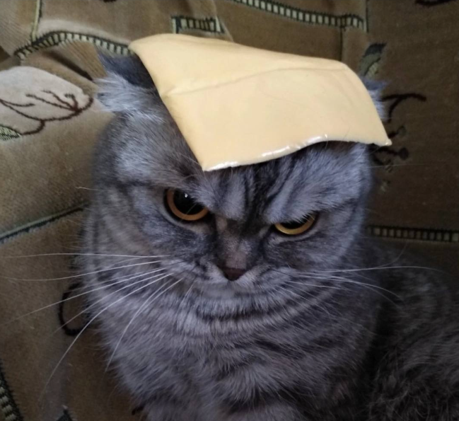 CHEESE