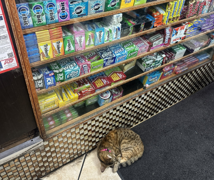 BCAT
