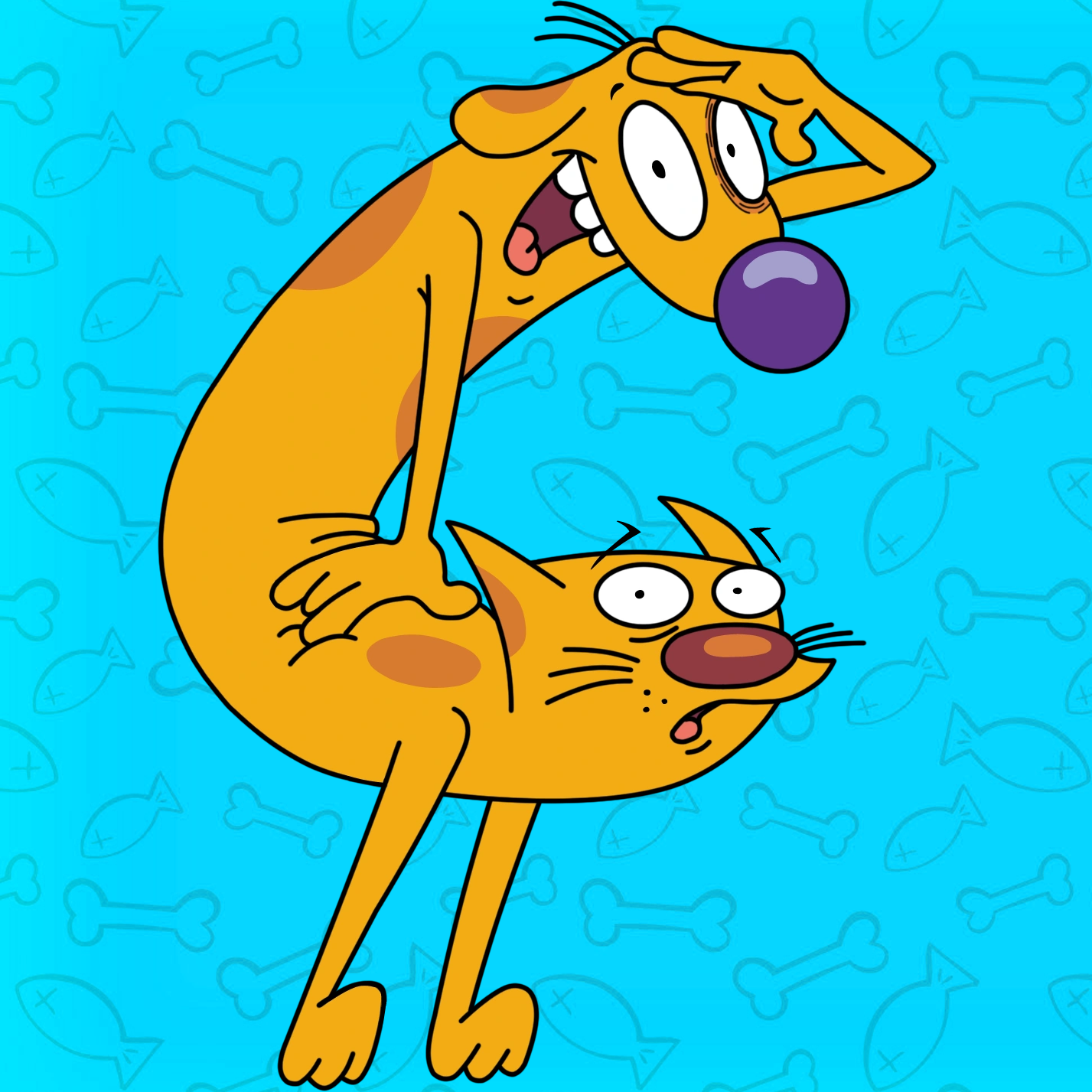 CATDOG