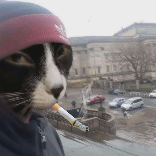 SMOCAT