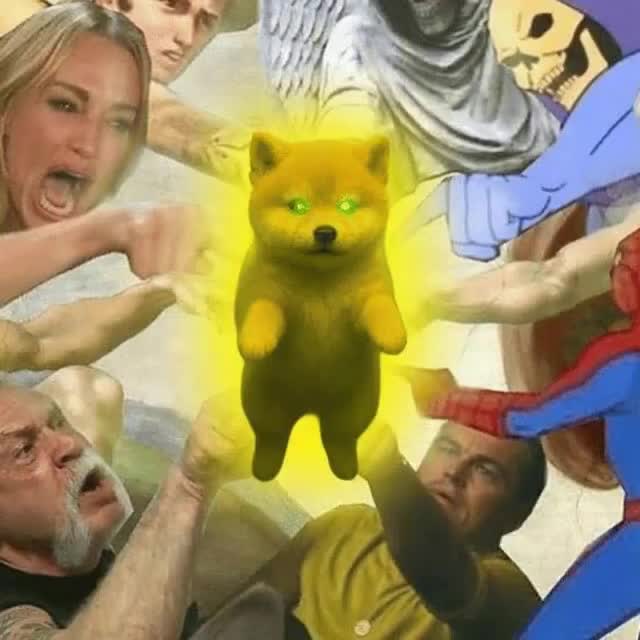 1DOGE