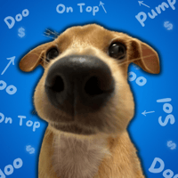 DOO