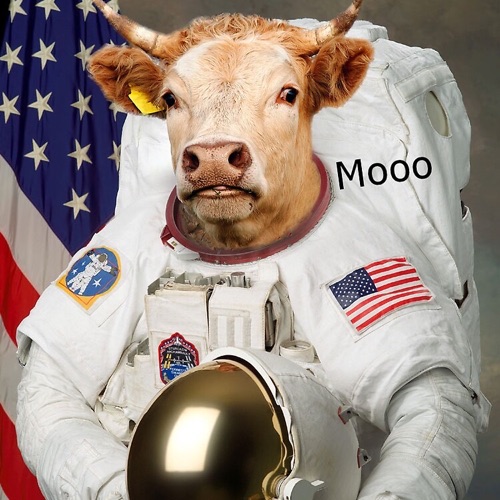 ASTROCOW
