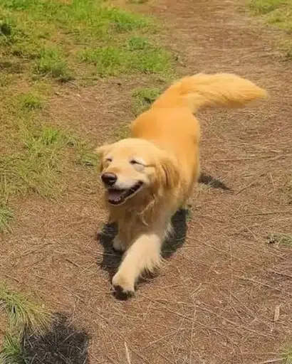 MARU