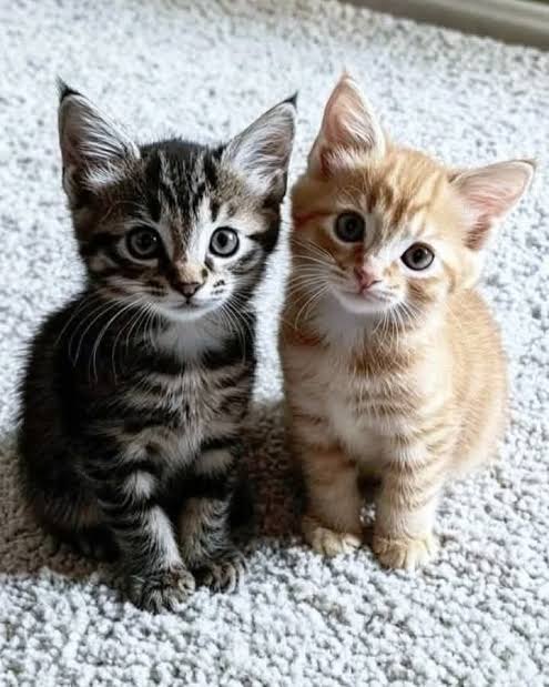 DOUBLE
