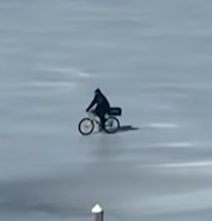 Nietzschean Courier logo