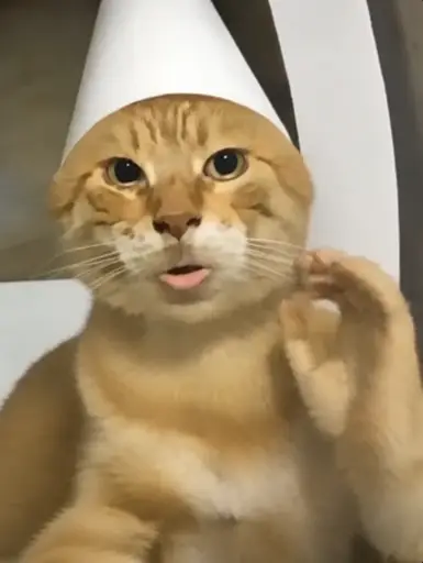 BCAT