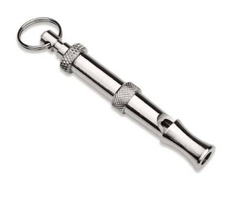 Whistle