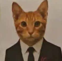 Miauricio