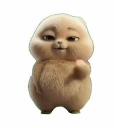 Pokko