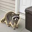 Cuh