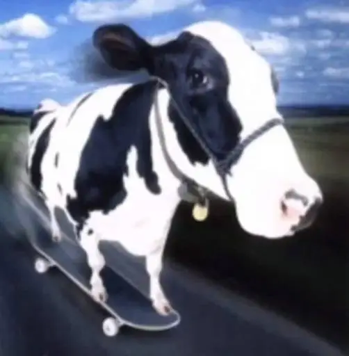 Cow