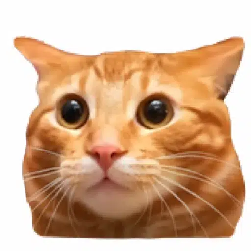 irlcat