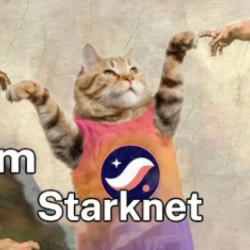 STARKCAT