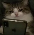 SOBCAT