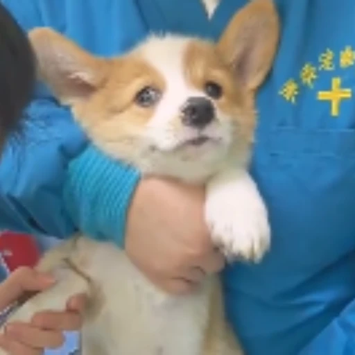 KIMI