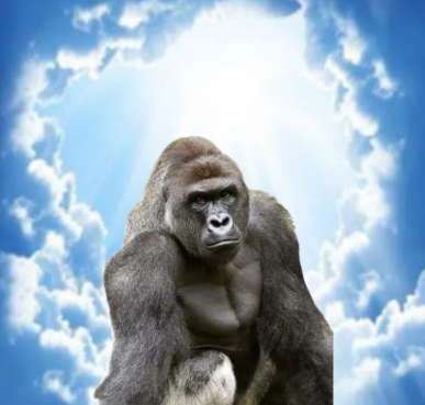 Harambe logo
