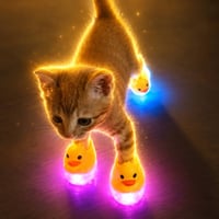 PUSS